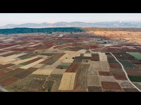 Como Calcular a Área de um Terreno Irregular