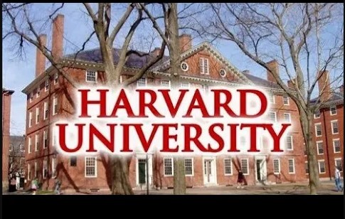 Uma questão de nível HARVARD